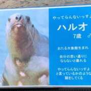 ヒメ日記 2026/03/31 14:34 投稿 のの あげまん 梅田店