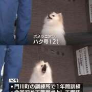 ヒメ日記 2026/05/08 14:51 投稿 のの あげまん 梅田店