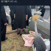 ヒメ日記 2026/07/31 14:48 投稿 のの あげまん 梅田店