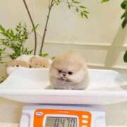 ヒメ日記 2026/09/14 14:44 投稿 のの あげまん 梅田店