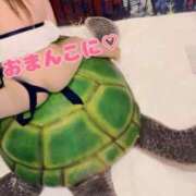 ヒメ日記 2025/10/17 08:15 投稿 水無月　まな エテルナ京都