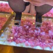 ヒメ日記 2026/01/05 20:16 投稿 水無月　まな エテルナ京都