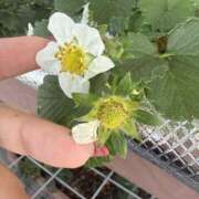 ヒメ日記 2026/03/09 12:16 投稿 水無月　まな エテルナ京都