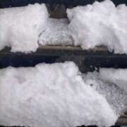 ヒメ日記 2025/02/08 12:28 投稿 あずき 名古屋ちゃんこ