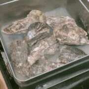 ヒメ日記 2025/08/27 19:47 投稿 あずき 名古屋ちゃんこ