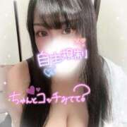 ヒメ日記 2025/11/01 11:31 投稿 穴～アナ～ ドMな奥さん 日本橋店