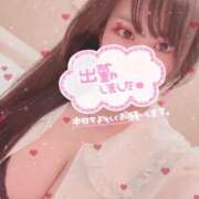 穴～アナ～ しました！ ドMな奥さん 日本橋店