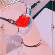 ヒメ日記 2025/01/12 08:02 投稿 叶(かなえ） Ageha（あげは）