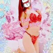 ヒメ日記 2025/02/04 08:01 投稿 叶(かなえ） Ageha（あげは）