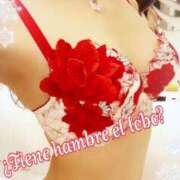 ヒメ日記 2025/02/15 09:01 投稿 叶(かなえ） Ageha（あげは）