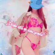 ヒメ日記 2025/05/11 08:30 投稿 叶(かなえ） Ageha（あげは）