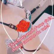 ヒメ日記 2025/06/29 08:01 投稿 叶(かなえ） Ageha（あげは）