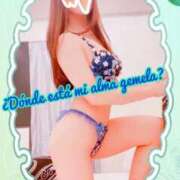 ヒメ日記 2025/07/27 08:02 投稿 叶(かなえ） Ageha（あげは）