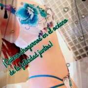 ヒメ日記 2025/07/30 08:01 投稿 叶(かなえ） Ageha（あげは）