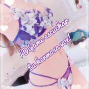 ヒメ日記 2025/09/13 08:01 投稿 叶(かなえ） Ageha（あげは）