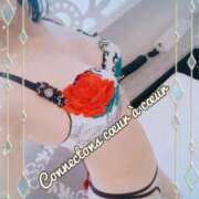 ヒメ日記 2025/10/11 08:01 投稿 叶(かなえ） Ageha（あげは）