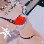 ヒメ日記 2025/12/14 08:01 投稿 叶(かなえ） Ageha（あげは）