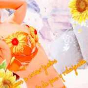ヒメ日記 2026/09/01 09:01 投稿 叶(かなえ） Ageha（あげは）