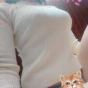 ヒメ日記 2024/12/18 20:42 投稿 つかさ 池袋人妻ヒットパレード（シンデレラグループ）