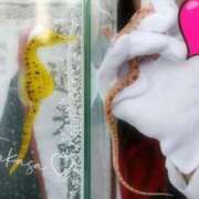 ヒメ日記 2024/12/30 08:45 投稿 つかさ 池袋人妻ヒットパレード（シンデレラグループ）