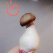 ヒメ日記 2025/03/05 23:00 投稿 つかさ 池袋人妻ヒットパレード（シンデレラグループ）