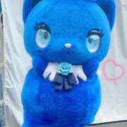 ヒメ日記 2025/03/08 20:53 投稿 つかさ 池袋人妻ヒットパレード（シンデレラグループ）