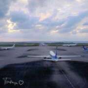 ヒメ日記 2025/03/18 08:02 投稿 つかさ 池袋人妻ヒットパレード（シンデレラグループ）