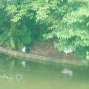 ヒメ日記 2025/03/23 18:36 投稿 つかさ 池袋人妻ヒットパレード（シンデレラグループ）