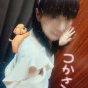 ヒメ日記 2025/04/20 22:17 投稿 つかさ 池袋人妻ヒットパレード（シンデレラグループ）