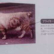 ヒメ日記 2025/05/22 08:50 投稿 つかさ 池袋人妻ヒットパレード（シンデレラグループ）