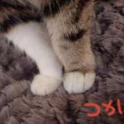 ヒメ日記 2025/05/30 20:46 投稿 つかさ 池袋人妻ヒットパレード（シンデレラグループ）