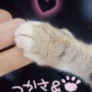 ヒメ日記 2025/06/10 11:12 投稿 つかさ 池袋人妻ヒットパレード（シンデレラグループ）