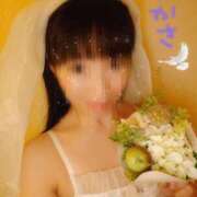 ヒメ日記 2025/06/15 08:45 投稿 つかさ 池袋人妻ヒットパレード（シンデレラグループ）