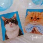 ヒメ日記 2025/06/29 08:41 投稿 つかさ 池袋人妻ヒットパレード（シンデレラグループ）