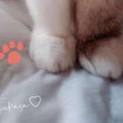 ヒメ日記 2025/07/27 08:32 投稿 つかさ 池袋人妻ヒットパレード（シンデレラグループ）