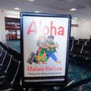 ヒメ日記 2025/08/29 11:27 投稿 つかさ 池袋人妻ヒットパレード（シンデレラグループ）