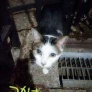 ヒメ日記 2025/09/23 08:47 投稿 つかさ 池袋人妻ヒットパレード（シンデレラグループ）