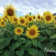 ヒメ日記 2025/10/01 08:29 投稿 つかさ 池袋人妻ヒットパレード（シンデレラグループ）