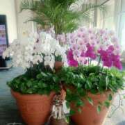 ヒメ日記 2025/10/14 16:59 投稿 つかさ 池袋人妻ヒットパレード（シンデレラグループ）