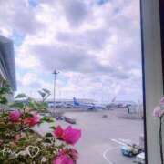 ヒメ日記 2025/10/17 11:23 投稿 つかさ 池袋人妻ヒットパレード（シンデレラグループ）