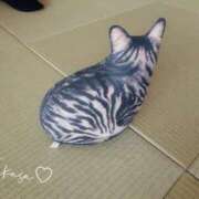 ヒメ日記 2025/10/21 08:42 投稿 つかさ 池袋人妻ヒットパレード（シンデレラグループ）