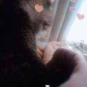 ヒメ日記 2025/10/24 07:24 投稿 つかさ 池袋人妻ヒットパレード（シンデレラグループ）