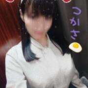 ヒメ日記 2025/10/25 08:46 投稿 つかさ 池袋人妻ヒットパレード（シンデレラグループ）