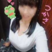 ヒメ日記 2025/11/11 15:02 投稿 つかさ 池袋人妻ヒットパレード（シンデレラグループ）