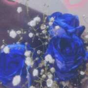 ヒメ日記 2025/12/08 21:23 投稿 つかさ 池袋人妻ヒットパレード（シンデレラグループ）