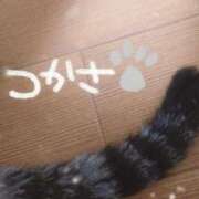 ヒメ日記 2025/12/13 21:12 投稿 つかさ 池袋人妻ヒットパレード（シンデレラグループ）