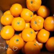 ヒメ日記 2025/12/22 08:25 投稿 つかさ 池袋人妻ヒットパレード（シンデレラグループ）