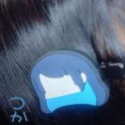 ヒメ日記 2026/01/15 08:42 投稿 つかさ 池袋人妻ヒットパレード（シンデレラグループ）