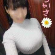 ヒメ日記 2026/01/15 15:47 投稿 つかさ 池袋人妻ヒットパレード（シンデレラグループ）