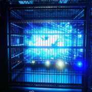 ヒメ日記 2026/01/20 18:43 投稿 つかさ 池袋人妻ヒットパレード（シンデレラグループ）